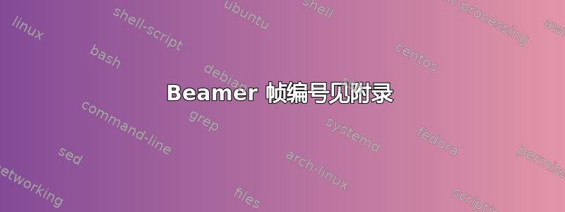 Beamer 帧编号见附录