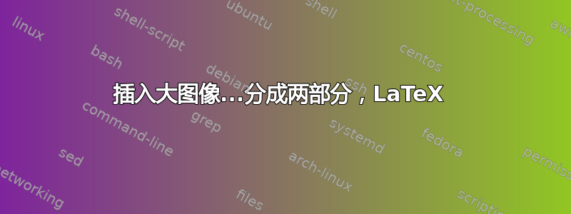 插入大图像...分成两部分，LaTeX 