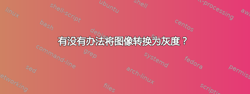 有没有办法将图像转换为灰度？