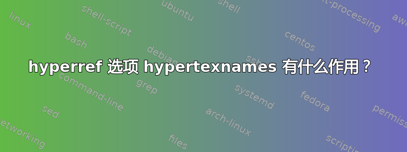 hyperref 选项 hypertexnames 有什么作用？