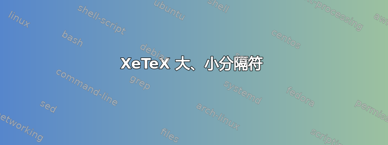 XeTeX 大、小分隔符