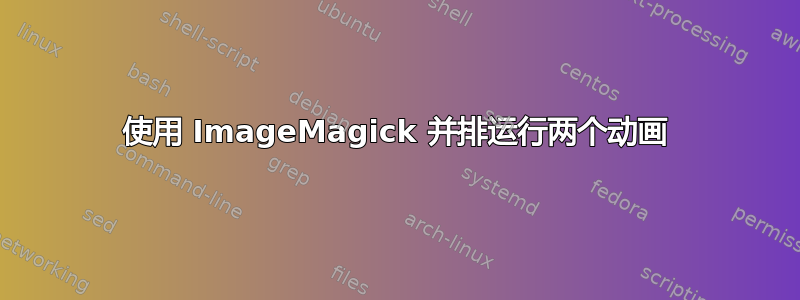 使用 ImageMagick 并排运行两个动画