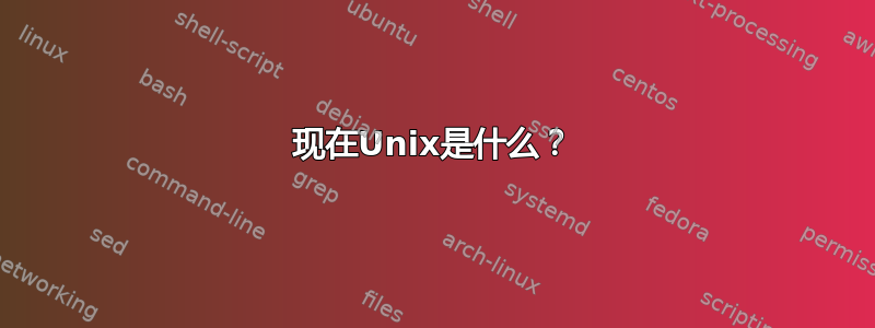 现在Unix是什么？