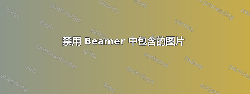 禁用 Beamer 中包含的图片