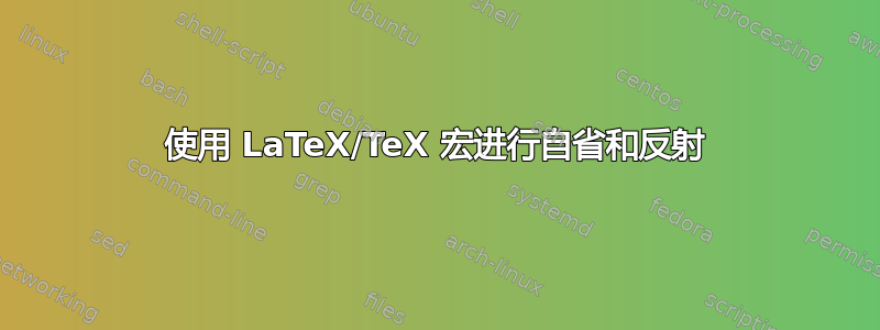 使用 LaTeX/TeX 宏进行自省和反射