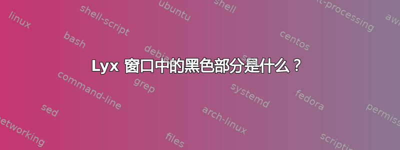 Lyx 窗口中的黑色部分是什么？