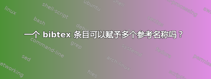 一个 bibtex 条目可以赋予多个参考名称吗？