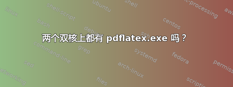 两个双核上都有 pdflatex.exe 吗？