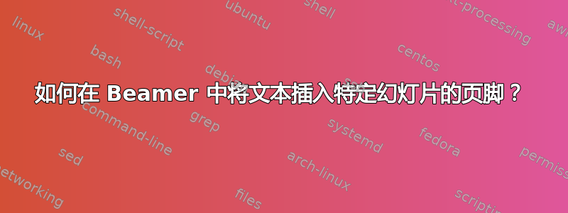 如何在 Beamer 中将文本插入特定幻灯片的页脚？