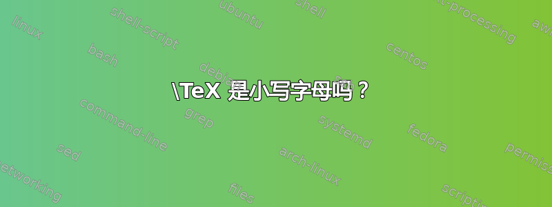 \TeX 是小写字母吗？