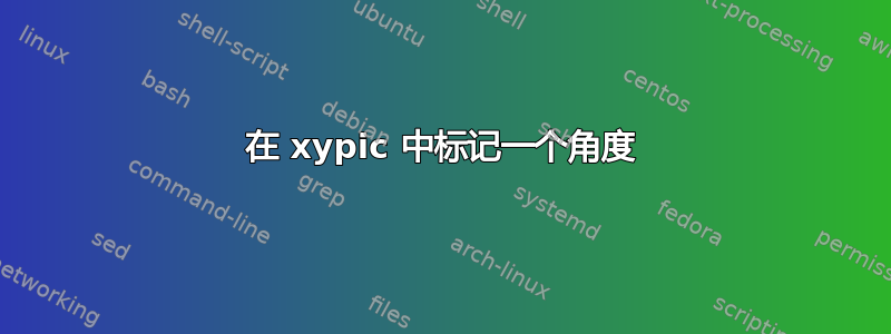 在 xypic 中标记一个角度