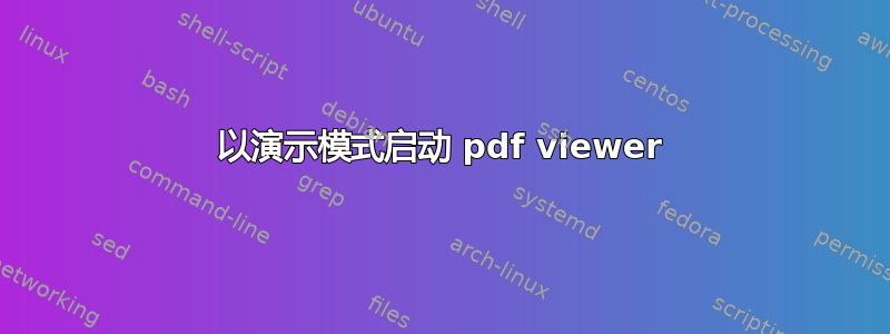 以演示模式启动 pdf viewer