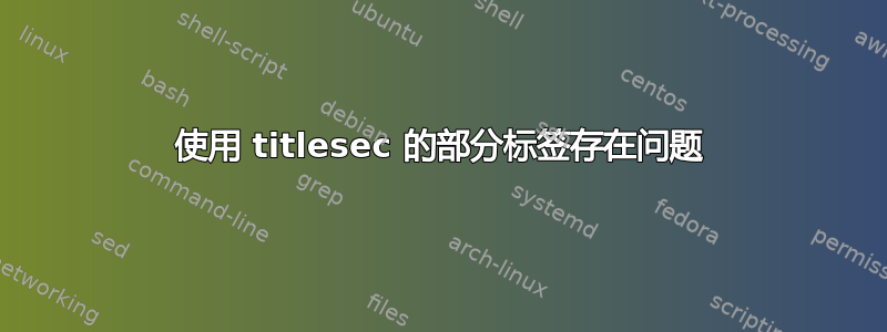 使用 titlesec 的部分标签存在问题