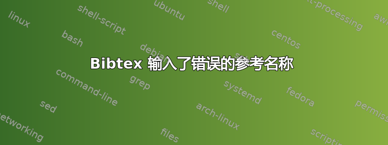 Bibtex 输入了错误的参考名称