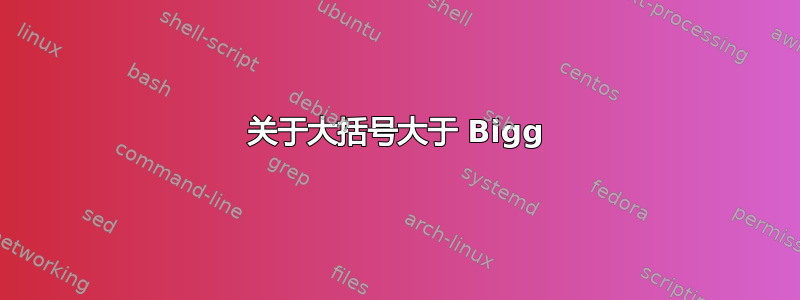 关于大括号大于 Bigg