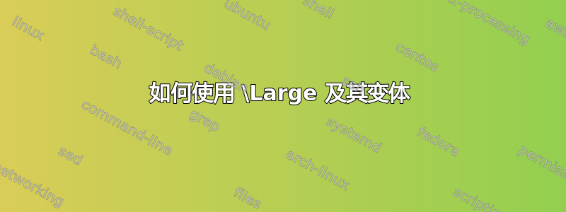 如何使用 \Large 及其变体