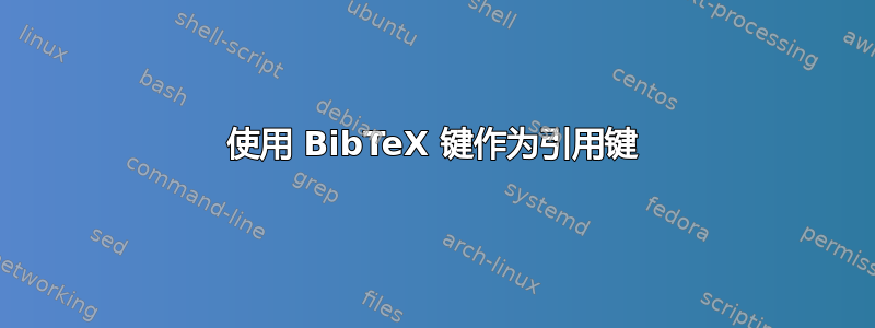 使用 BibTeX 键作为引用键