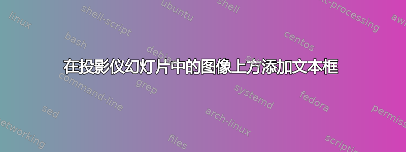 在投影仪幻灯片中的图像上方添加文本框