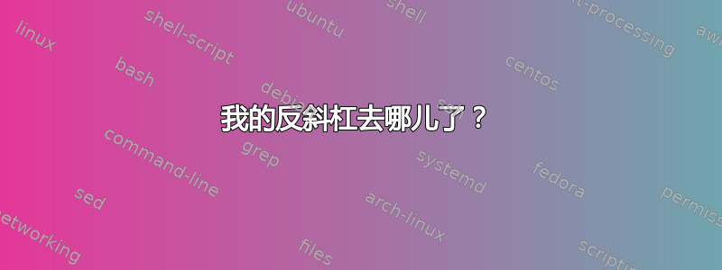 我的反斜杠去哪儿了？