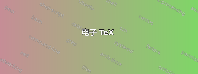 电子 TeX