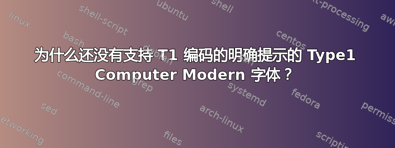 为什么还没有支持 T1 编码的明确提示的 Type1 Computer Modern 字体？