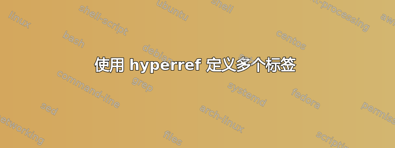 使用 hyperref 定义多个标签