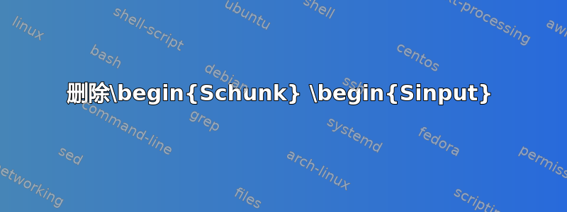 删除\begin{Schunk} \begin{Sinput}