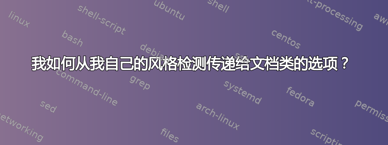 我如何从我自己的风格检测传递给文档类的选项？