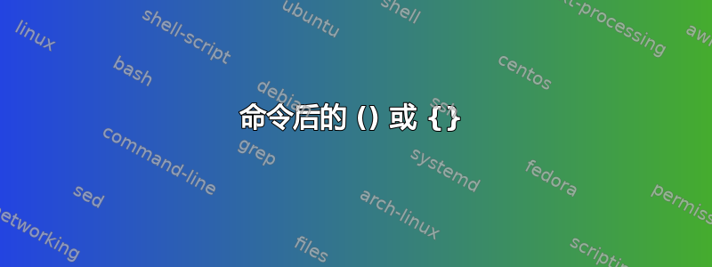 命令后的 () 或 {}