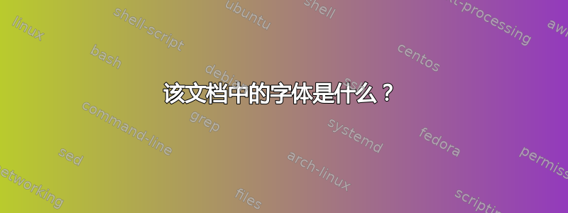 该文档中的字体是什么？