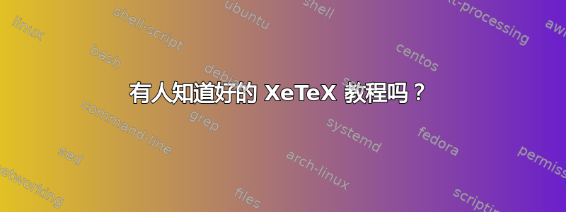 有人知道好的 XeTeX 教程吗？