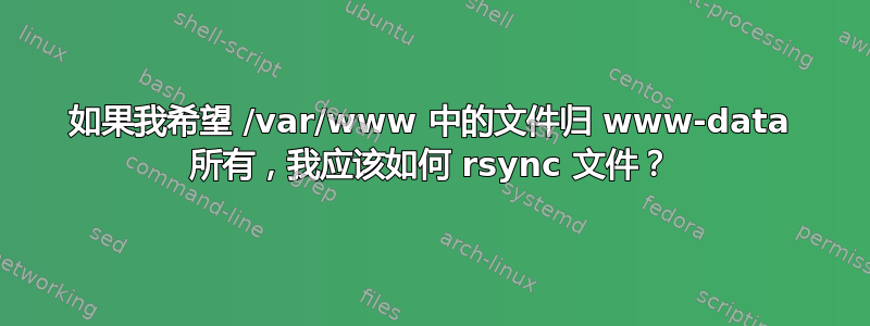 如果我希望 /var/www 中的文件归 www-data 所有，我应该如何 rsync 文件？