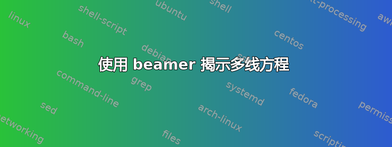 使用 beamer 揭示多线方程