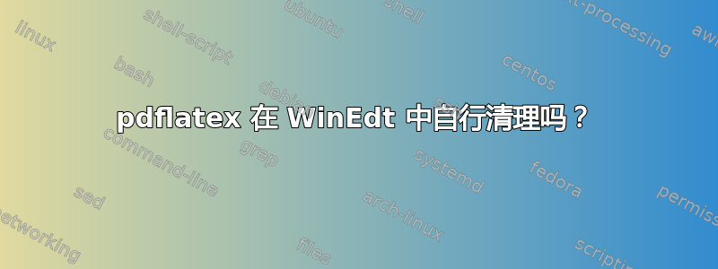 pdflatex 在 WinEdt 中自行清理吗？