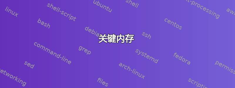 关键内存