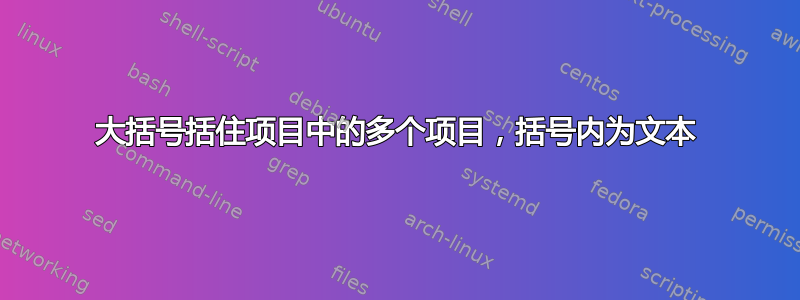 大括号括住项目中的多个项目，括号内为文本