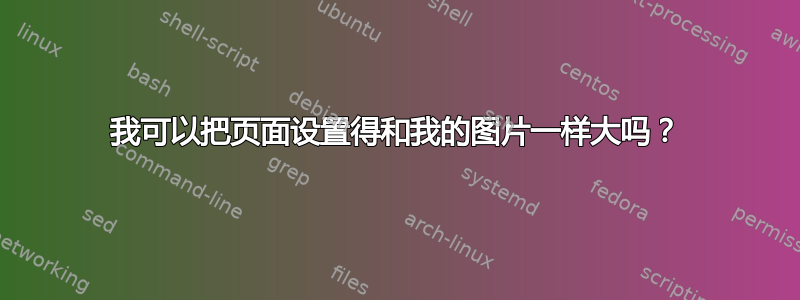 我可以把页面设置得和我的图片一样大吗？