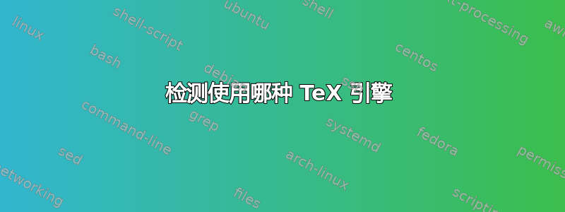 检测使用哪种 TeX 引擎