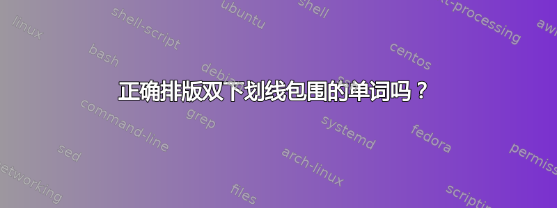 正确排版双下划线包围的单词吗？