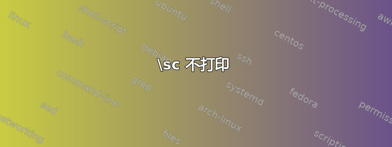 \sc 不打印