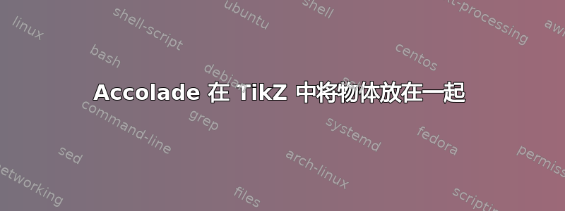 Accolade 在 TikZ 中将物体放在一起