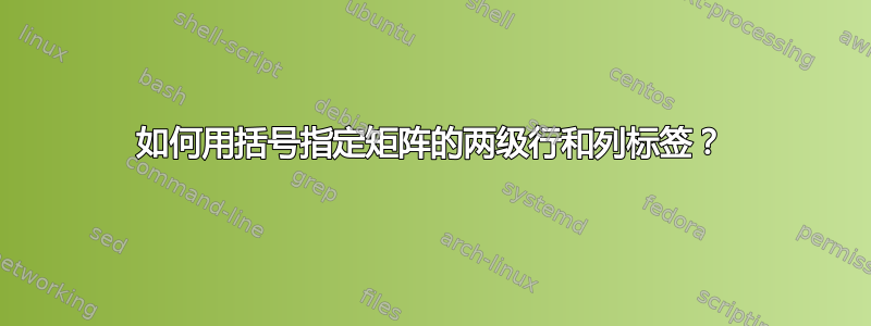 如何用括号指定矩阵的两级行和列标签？