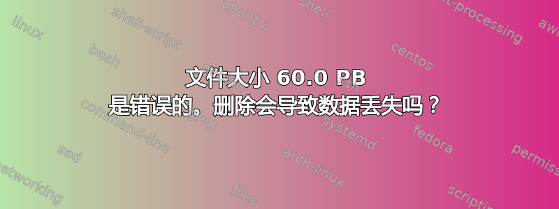 文件大小 60.0 PB 是错误的。删除会导致数据丢失吗？