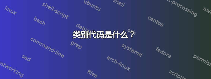 类别代码是什么？