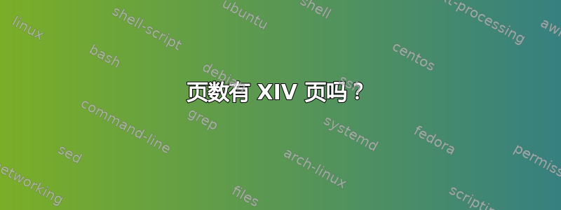 页数有 XIV 页吗？