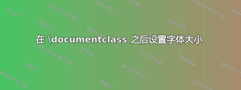 在 \documentclass 之后设置字体大小