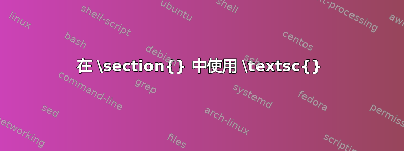 在 \section{} 中使用 \textsc{}