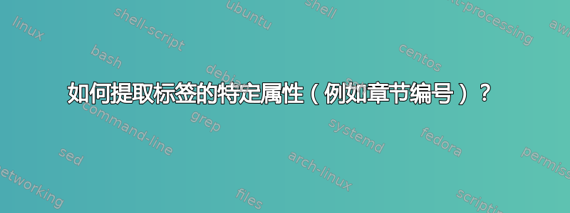 如何提取标签的特定属性（例如章节编号）？