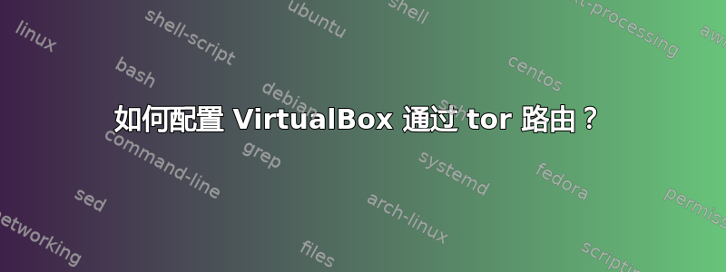 如何配置 VirtualBox 通过 tor 路由？