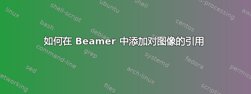 如何在 Beamer 中添加对图像的引用